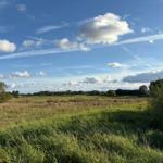 Weitläufiges Grasland unter blauem Himmel mit weißen Wolken und vereinzelten Bäumen.