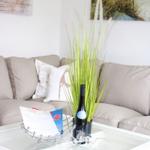 Glas-Tisch mit Flasche, Gläsern und Pflanze vor einem Sofa.