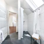 Badezimmer mit Dusche, Handtuchheizung und Toilettenpapierhalter.