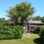 House with garden, parasol, and lounge chair under tree.