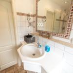 Bathroom with sink, mirror, and shower