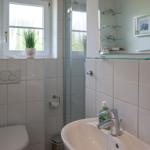 Bathroom with toilet, shower, and sink. Window with plant and mirror cabinet.
