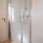 Shower with glass enclosure and showerhead