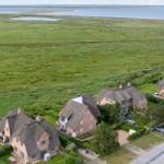 Houses with thatched roofs are situated beside a green meadow and directly by the water.
