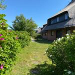 Haus mit Strohdach und Gartenweg mit Blumenhecken.