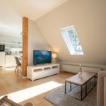 Living area with TV, sofa, and kitchen area. Skylight and wooden floor.