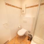 Bathroom with shower, toilet, and heater.