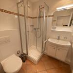 Bathroom with shower, sink and toilet. Tile floor and handrail.