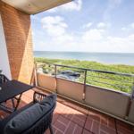 Terrace with table, chairs, and sea view. Behind the railing are grassy areas and a car visible.