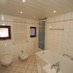 Bathroom with bathtub, shower, toilet, and sink.