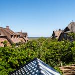 Thatched-roof houses with green vegetation in the background.