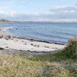 Strand...