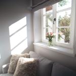 Sofa mit Kissen unter Fenster mit Blumen und Sonnenlicht.