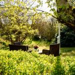 Garten mit Sitzgelegenheit unter Bäumen und Sträuchern.