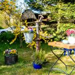 Garten mit Blumen, altem Wasserpumpen und Holztisch mit Blumen.