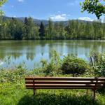 Seeblick