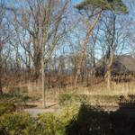 Meerblick