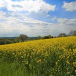 Blick auf Sehenswürdigkeit
