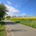 Landschaft