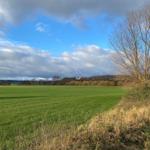 Landschaft