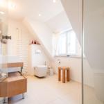 Bathroom with shower, toilet, and sink under a sloped ceiling.