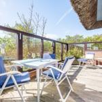 Terrace with table and chairs, glass wall and thatched roof.