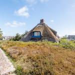 House with thatched roof and blue window, surrounded by grass and a stone path.