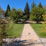 Blick von der Terrasse