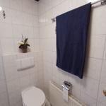 Badezimmer mit Toilette, Heizkörper und Handtuchhalter. Wandtasse mit Pflanze.