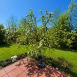 Gartenblick