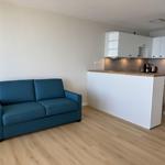 Living room with blue sofa and kitchen area with white cabinets.