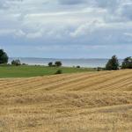 Landschaft
