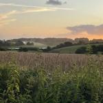 Landschaft