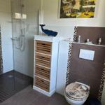 Bad mit Dusche, Toilette und Holzschrank mit vier Schubladen.