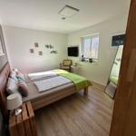Schlafzimmer mit Bett, Fernseher und Fenster. Holzfußboden und Spiegel.