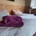 Wohn-/Schlafzimmer