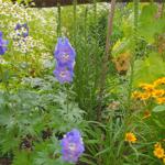 Garten und Terrassen