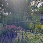 Garten und Terrassen