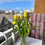 Blumen auf Balkon mit Stadtblick