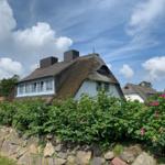 Haus mit Strohdach, Rosenhecke und Steinmauer unter blauem Himmel.