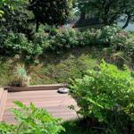 Holzterrasse mit Garten, Rosenbeete und Blick auf Haus