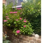 Gartenaufgang