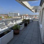 Terrace with plants and city view. Grey tiles and white wall elements.