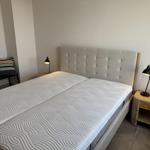 Bedroom with bed, nightstand, and lamp