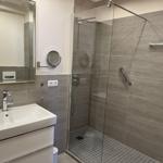 Bathroom with shower, sink, and mirror.