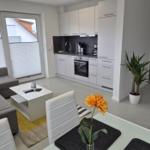 Wohnbereich mit Küche, Sofa und Esstisch. Fenster mit Jalousien und Zimmerpflanze.