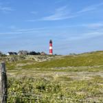 Rote Leuchtturm mit weißem Streifen auf grüner Dünenlandschaft unter blauem Himmel.