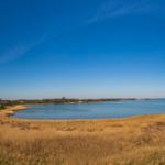 Landschaft