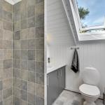 Bathroom with shower, toilet, and sink under skylight.