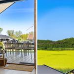 Terrace with table and chairs. View of yellow flower field and green trees.